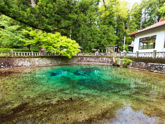 美祢市の魅力