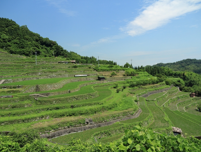 周南市の魅力
