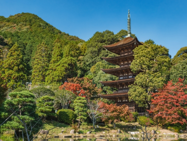 山口市の魅力