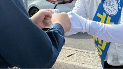 ガンシンとその他10