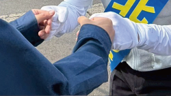 ガンシンとその他14