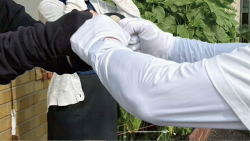 ガンシンとその他4